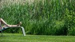 Woman sunbathes in her own garden - and gets scolding from t